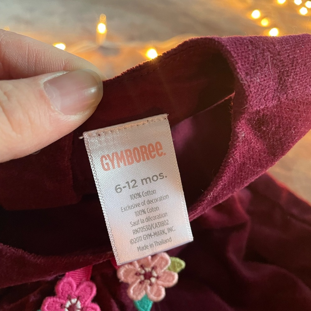 Gymboree Mushroom Dress - Picture 4 of 5